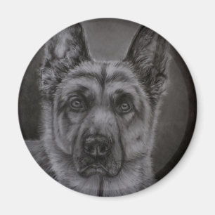 Tysk herdehundkonst - adelsman magnet