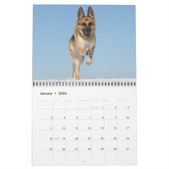 Tysk kalender för herdehundvägg (Jan 2026)