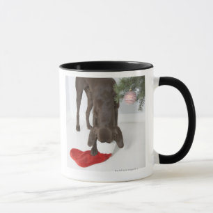Tysk kort-haired pekare som in klibbar snouten mugg