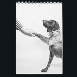 Tysk kortfristig pekare 2024 - Hund för kalendern  Kalender<br><div class="desc">Den tyska Shorthar Pointer-kalendern - en trogen följeslagare, en orubblig jägare och en tidlös ras - ger den tyska Shorthated Pointer den centrala innebörden av återhämtningsförmåga och beslutsamhet. Allmänna preferenssystemet har med sin orubbliga inriktning, orubbliga lojalitet och orubbliga anda fångat hundälskarnas hjärtan över hela världen. Enduring-andan från den tyska tidningen...</div>