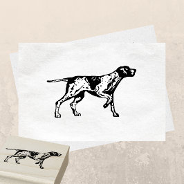Tysk kortfristig pekare Hund aveln Stämpel