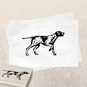 Tysk kortfristig pekare Hund aveln Stämpel