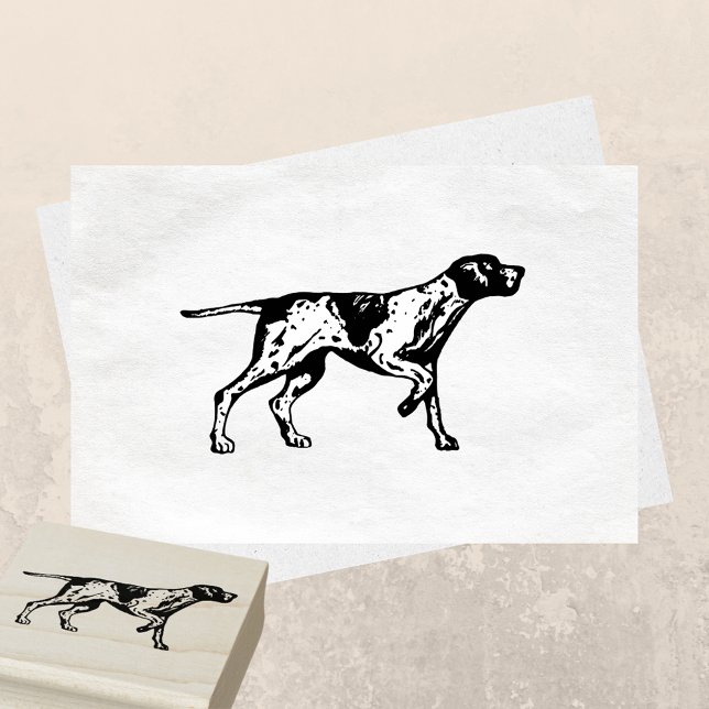 Tysk kortfristig pekare Hund aveln Stämpel (Skapare uppladdad)