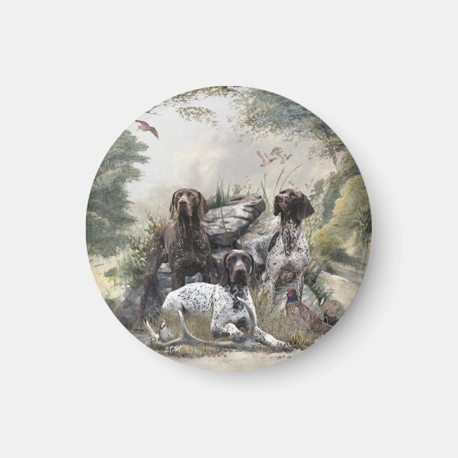 Tysk korthar eller Deutsch Kurzhaar Magnet (Framsidan)