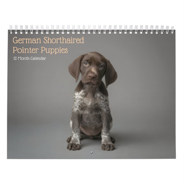 Tysk Korthår Pointer Valpar 2027 Kalender (Omslag)