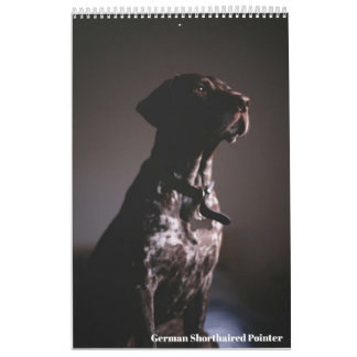 Tysk korthårig pointer 2024 kalender GSP hund