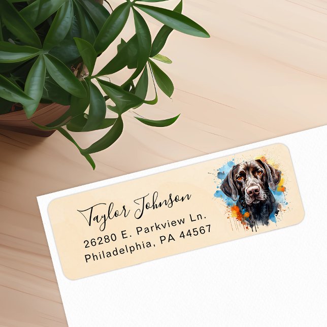 Tysk korthårig pointer hund returadress etikett (Skapare uppladdad)
