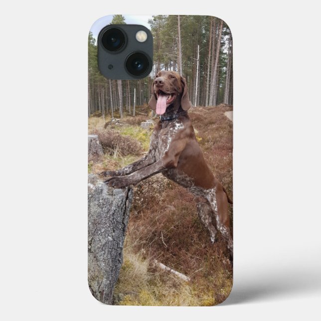 Tysk korthårig pointer iphone-fodral (Baksida)