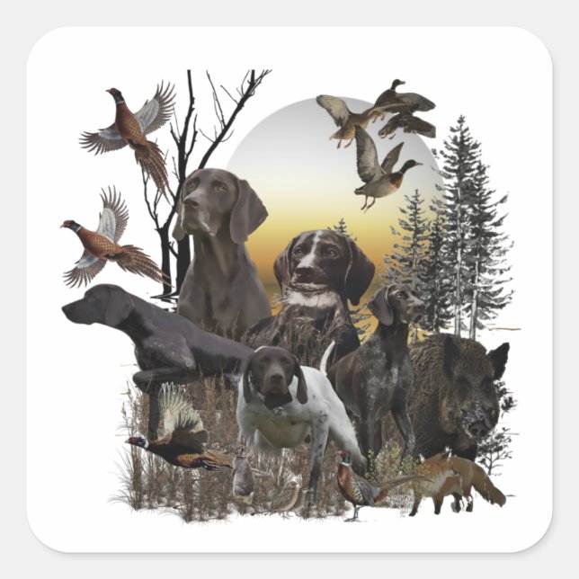 Tysk kortherad-pekare fyrkantigt klistermärke (Framsida)