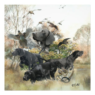 Tysk korthögpekare fototryck