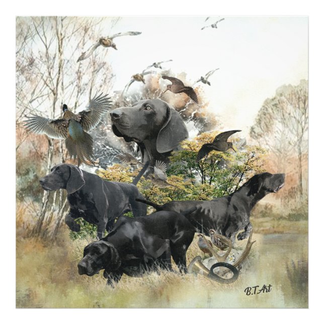 Tysk korthögpekare fototryck (Framsidan)