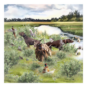 Tysk korthögpekare fototryck