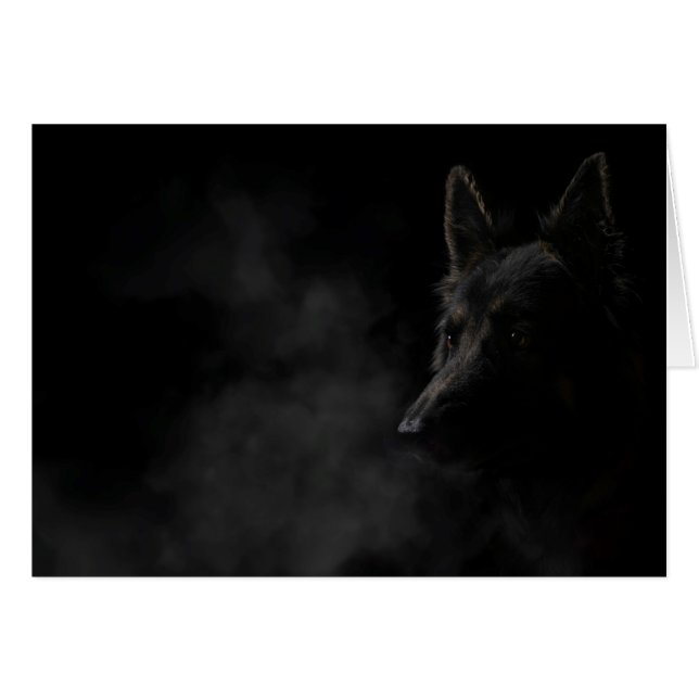 Tysk kringutrustning, hund hälsningskort (Framsidan Horizontal)