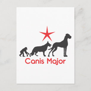 Tysk Mastiff Canis Major Vykort