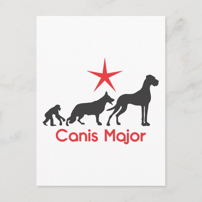 Tysk Mastiff Canis Major Vykort (Framsida)