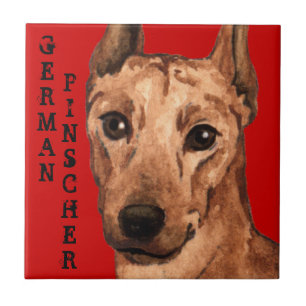 Tysk Pinscher Färg Block Kakelplatta