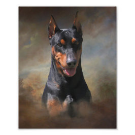 Tysk Pinscher Fototryck