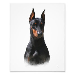 Tysk Pinscher Fototryck