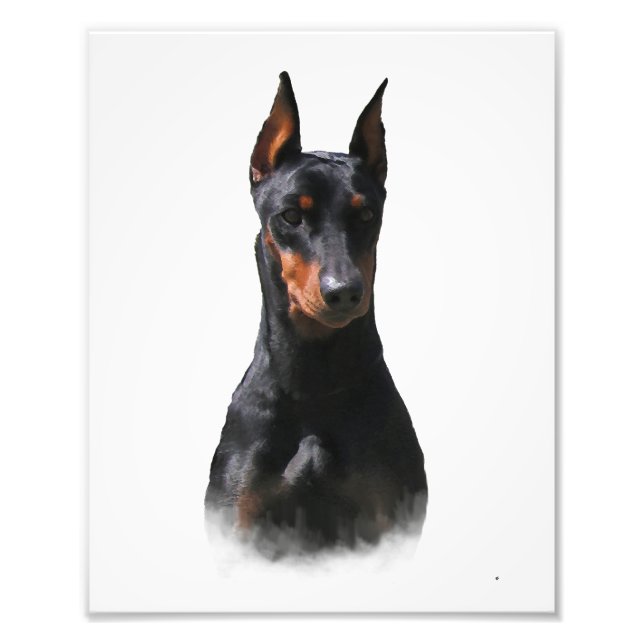Tysk Pinscher Fototryck (Framsidan)