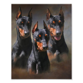 Tysk Pinscher Fototryck