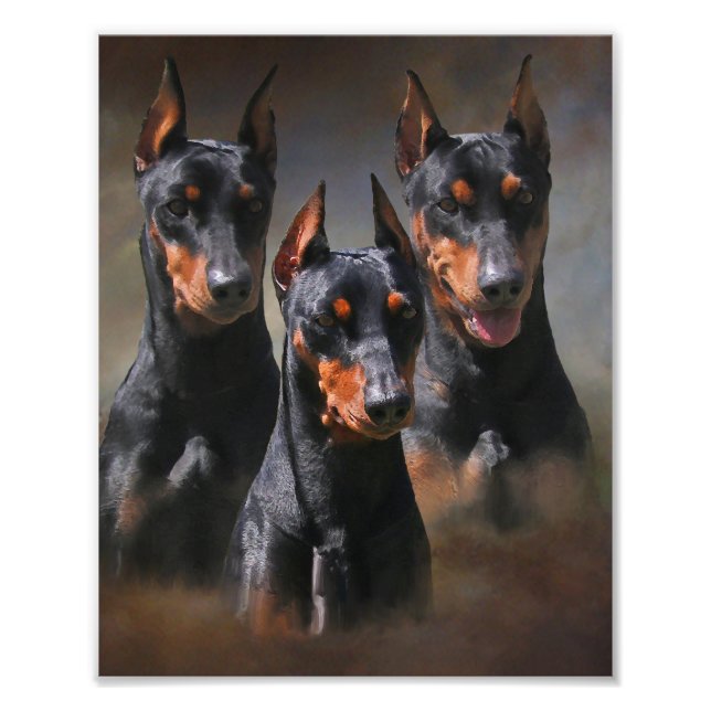 Tysk Pinscher Fototryck (Framsidan)
