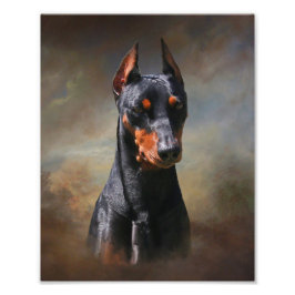 Tysk Pinscher Fototryck