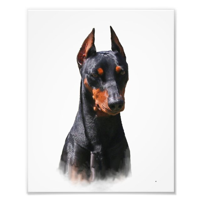 Tysk Pinscher Fototryck (Framsidan)