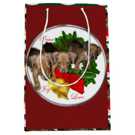 Tysk Pinscher Puppies-jul