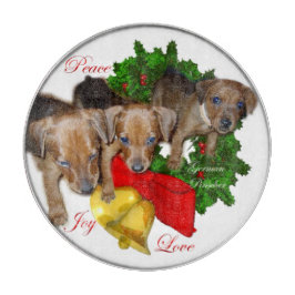 Tysk Pinscher Puppies-jul