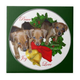 Tysk Pinscher Puppies-jul Kakelplatta