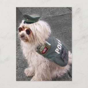 Tysk polis-Hund med handfängsel Vykort