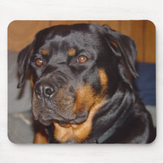 Tysk rotweiler musmatta