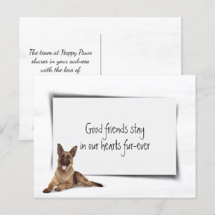 Tysk Schäfer Sympati Förlust Husdjur Vykort