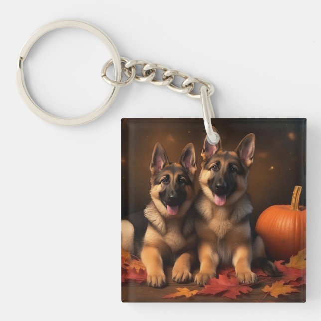 Tysk Schäfer Valp Höstglädje Pumpa  (Framsidan)