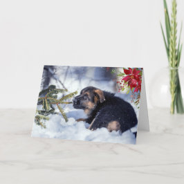 Tysk Schäfer-valp med akvarell Poinsettia Kort