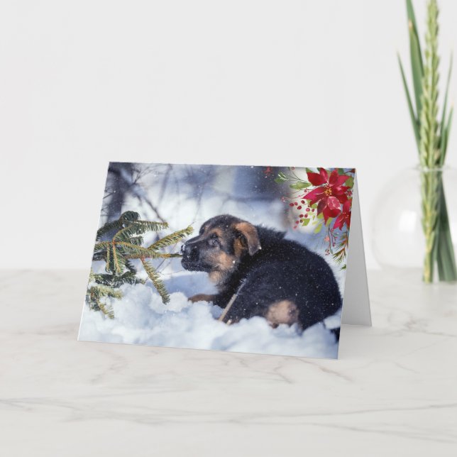 Tysk Schäfer-valp med akvarell Poinsettia Kort (Framsida)