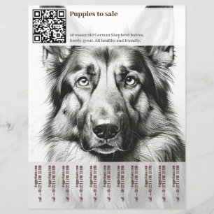 Tysk Schäferhund Flyer