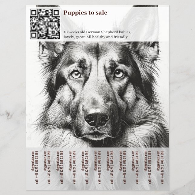 Tysk Schäferhund Flyer (Framsidan)