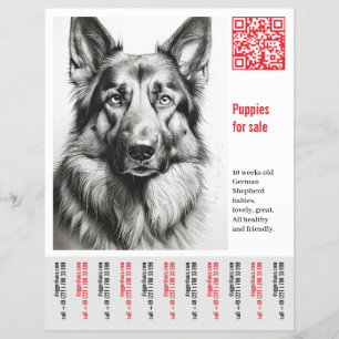 Tysk Schäferhund Flygblad