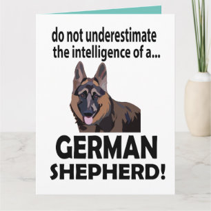 Tysk Schäferhund Födelsedag Tysk Schäferhund Kort