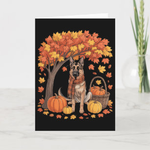 Tysk Schäferhund Höst Skärp Pumpkin Höst Än Kort