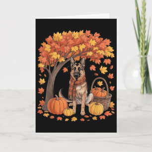 Tysk Schäferhund Höstskärp Pumpkin Höst Än Kort