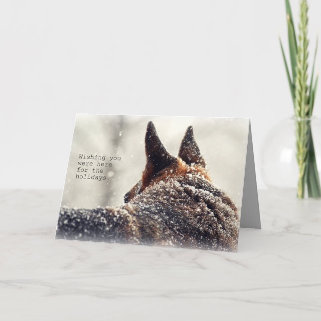 Tysk Schäferhund i Snö Foto Helgkort (Framsida)