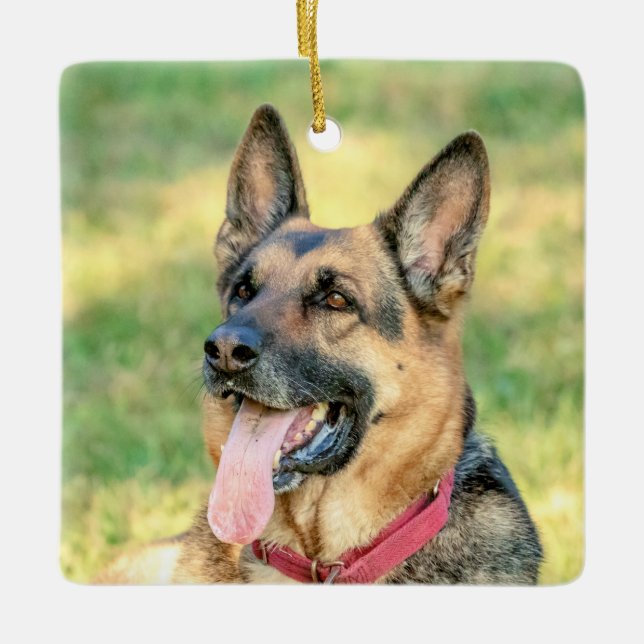 Tysk schäferhund julgransprydnad keramik (Framsida)