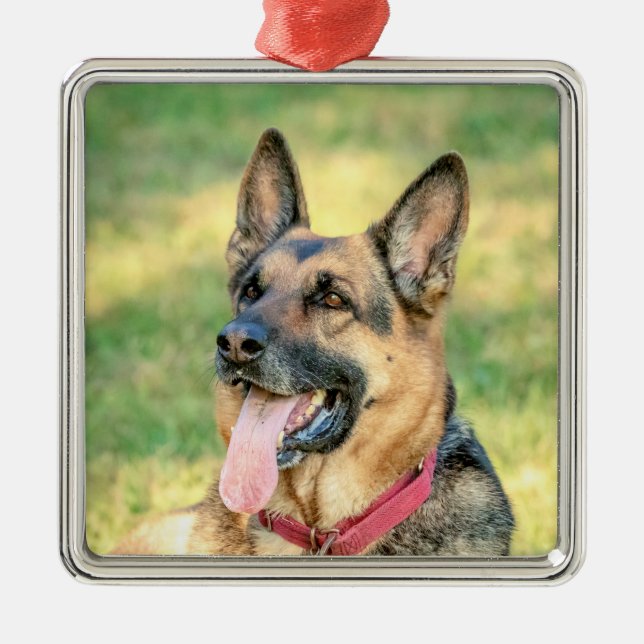 Tysk schäferhund julgransprydnad metall (Framsidan)
