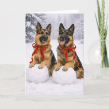 Tysk schäferhund julkort