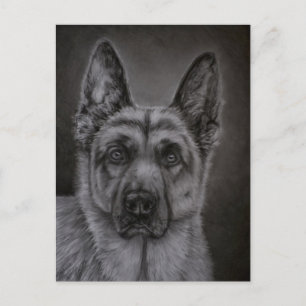 Tysk Schäferhund Konst - Ädel Vykort