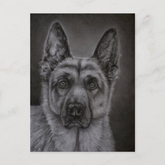 Tysk Schäferhund Konst - Ädel Vykort