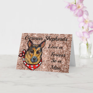 Tysk Schäferhund  Kort