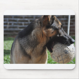 tysk schäferhund med leksak musmatta